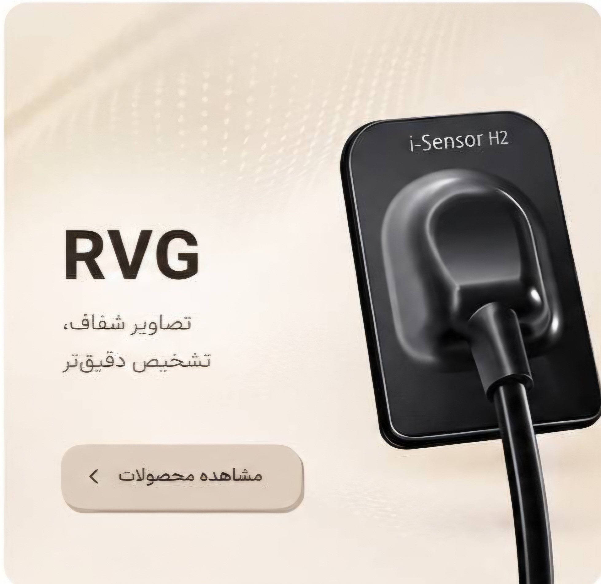 RVG
