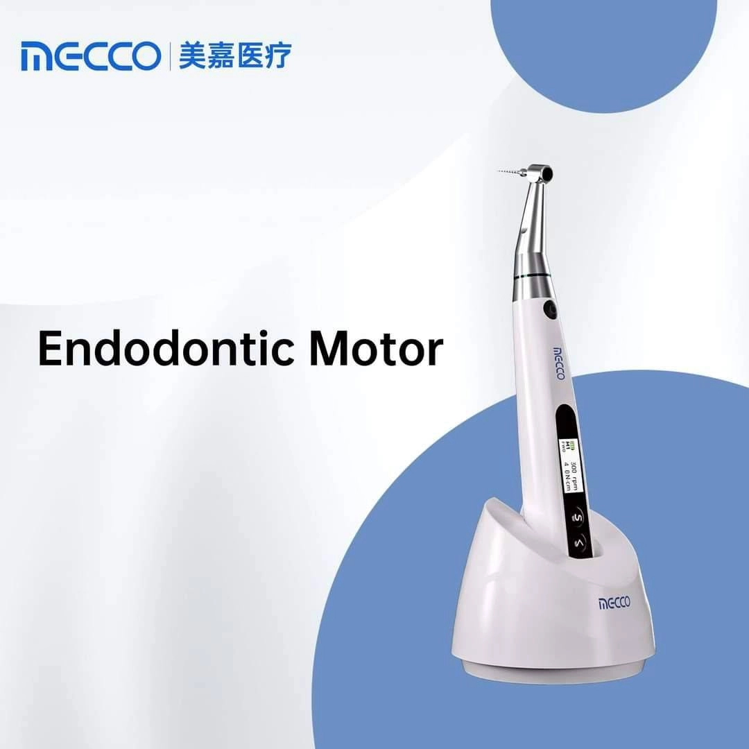 endostar s mecco