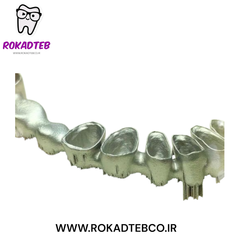 پرینتر سه بعدی لیزر متال Riton